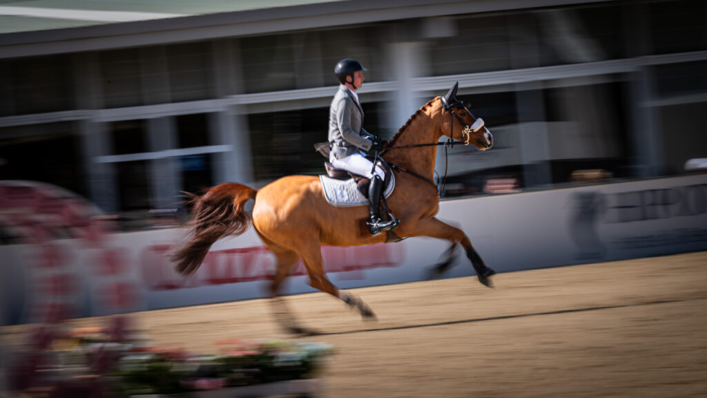 Horse and rider in motion, captured with a panning photograph.